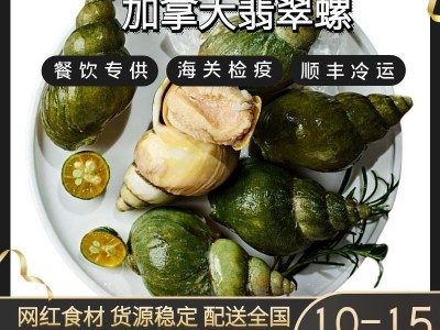 加拿大翡翠螺大海螺海鲜水产自助餐刺身料理火锅烧烤食材批发野生图3