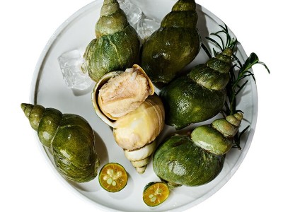 加拿大翡翠螺大海螺海鲜水产自助餐刺身料理火锅烧烤食材批发野生图5