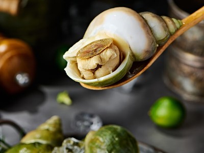 加拿大翡翠螺大海螺海鲜水产自助餐刺身料理火锅烧烤食材批发野生图2