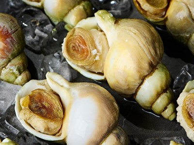 加拿大翡翠螺大海螺海鲜水产自助餐刺身料理火锅烧烤食材批发野生图4