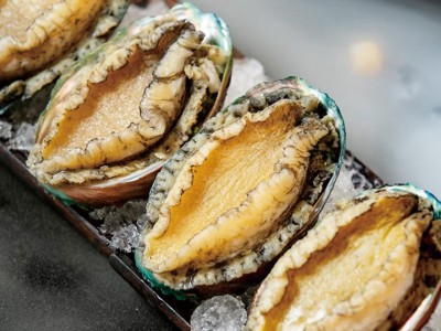 新鲜冷冻大号鲍鱼现货速冻鲍鱼佛跳墙原料带壳鲍鱼海鲜水产批发图3