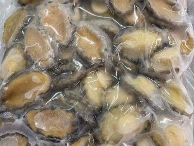 新鲜速冻即食鲍鱼肉酒店食材去壳鲍鱼火锅辅料工厂批发原料鲜鲍鱼图2