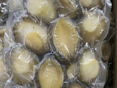 新鲜速冻即食鲍鱼肉酒店食材去壳鲍鱼火锅辅料工厂批发原料鲜鲍鱼图3