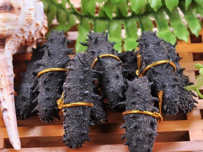 渔之郎淡干海参 海参礼盒半斤65个左右 厂家图5