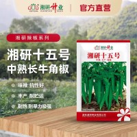 湘研十五号辣椒种子 中熟牛角椒 抗病 青椒微辣软皮土辣椒种子