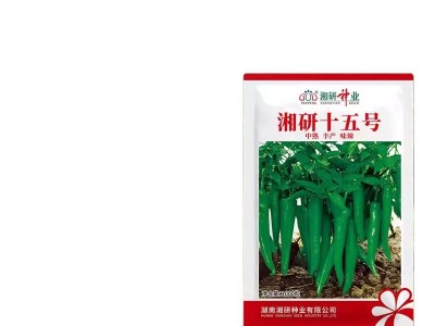 湘研十五号辣椒种子 中熟牛角椒 抗病 青椒微辣软皮土辣椒种子图5