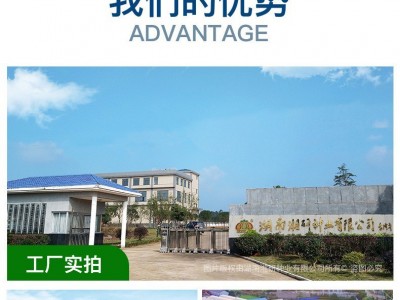 湘研十五号辣椒种子 中熟牛角椒 抗病 青椒微辣软皮土辣椒种子图3