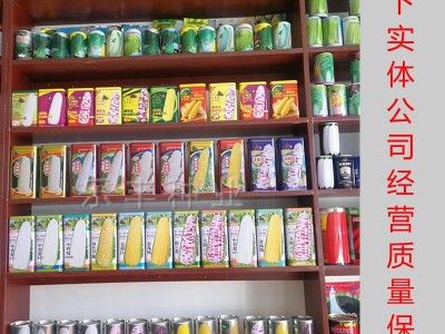 甜糯高产玉米种子批发水果玉米种子厂家直销白糯彩爆花黑红玉米种图3