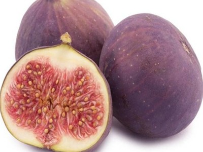 无花果树苗1米以上波姬红格莱斯无花果苗当年结果无花果盆栽图5