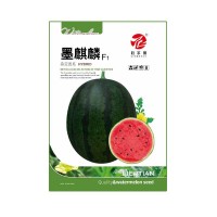 黑皮甜王西瓜种子 个大果肉沙脆蜜甜 粒尔田墨麒麟种籽 基地用种