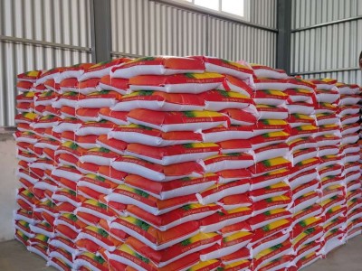 批发燕麦草种子白燕麦牧草种子饲用养殖牧草籽耐寒灰牧草燕麦种子图3