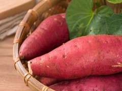 红薯吃了发胖还是减肥