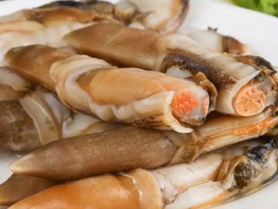 蛏子 贝类去壳海捕新鲜蛏王肉冷冻竹节蛏子海鲜批发200g顺丰包邮图4