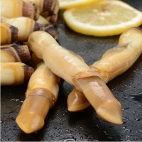 蛏子 贝类去壳海捕新鲜蛏王肉冷冻竹节蛏子海鲜批发200g顺丰包邮