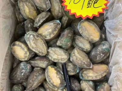 成都活冻鲍鱼批发20斤件 单冻散装鲍鱼中餐酒店 佛跳墙带壳鲍鱼图3