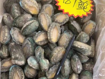 成都活冻鲍鱼批发20斤件 单冻散装鲍鱼中餐酒店 佛跳墙带壳鲍鱼图4