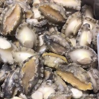 成都批发鲍鱼肉10斤件 去壳去肚速冻纯鲍鱼肉海霸王酒店食材