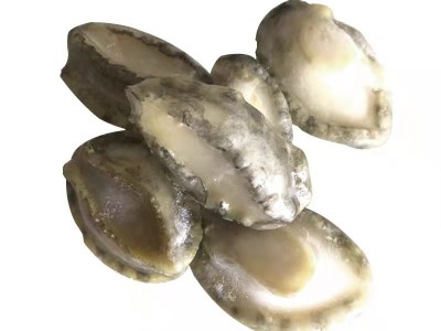 成都批发鲍鱼肉10斤件 去壳去肚速冻纯鲍鱼肉海霸王酒店食材图4