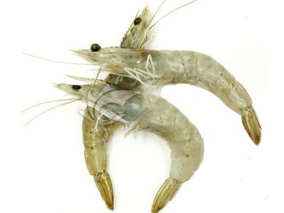 冷冻对虾国产南美白对虾1.5kg/盒 鲜活基尾新鲜大虾海虾淡水速冻图5