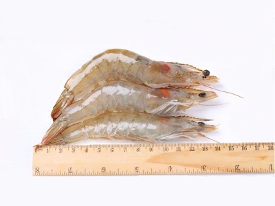 冷冻对虾国产南美白对虾1.5kg/盒 鲜活基尾新鲜大虾海虾淡水速冻图4