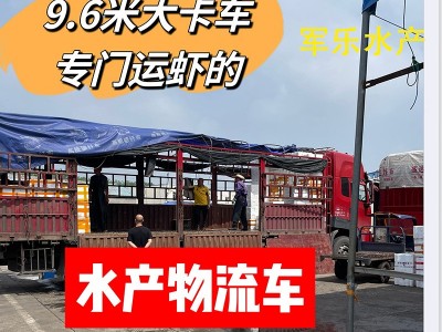 鲜活小龙虾湖北现货小青中青大青活虾清水小龙虾水产品餐馆商用图2