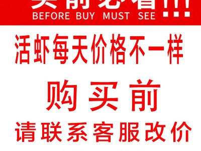 鲜活小龙虾批发50斤 餐馆餐饮批发水产市场活体小龙虾新鲜大龙虾图2