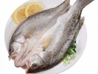 深海鲈鱼海鲈鱼批发新鲜开背鲈鱼冷冻鲜活七星鲈鱼海鲈鱼商用批发图5