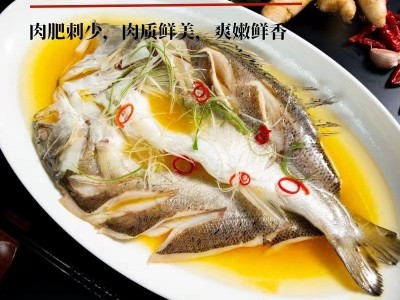 深海鲈鱼海鲈鱼批发新鲜开背鲈鱼冷冻鲜活七星鲈鱼海鲈鱼商用批发图4