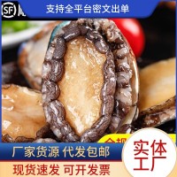 鲍鱼鲜活冷冻特大鲍鱼肉小鲍鱼商用新海鲜水产捞汁饭批发火锅食材