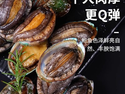 鲍鱼鲜活冷冻特大鲍鱼肉小鲍鱼商用新海鲜水产捞汁饭批发火锅食材图3