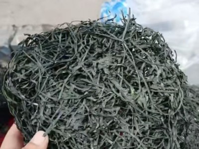 海带丝干货烘干海带丝海带圈圈跑江湖地摊展销餐饮海带丝批发货源图4