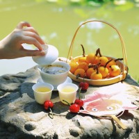 以茶会友聚知己西安品茶工作室慢品外卖悟人生满室暖心田