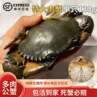 C缅甸雄蟹空运 孟加拉青蟹鲜活 公螃蟹野生1只130g左右香辣蟹