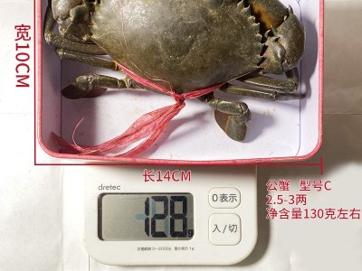 C缅甸雄蟹空运 孟加拉青蟹鲜活 公螃蟹野生1只130g左右香辣蟹图3
