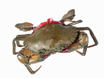 B膏蟹缅甸母蟹空运 孟加拉青膏蟹鲜活 螃蟹野生1只110g左右香辣蟹图5