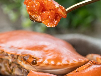 B膏蟹缅甸母蟹空运 孟加拉青膏蟹鲜活 螃蟹野生1只110g左右香辣蟹图4