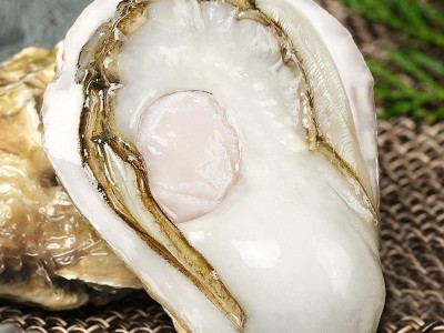 半壳生蚝特大原浆牡蛎鲜活冷冻新鲜带壳生蚝烧烤商用批发图3