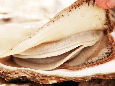 半壳生蚝特大原浆牡蛎鲜活冷冻新鲜带壳生蚝烧烤商用批发图2