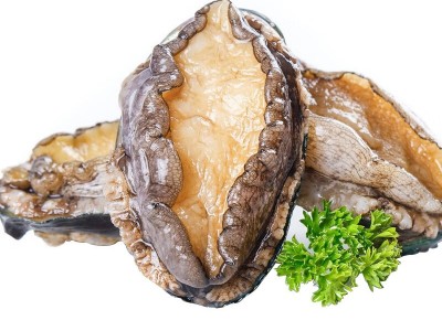 捞汁鲍鱼鲜冻鲍鱼批发鲍鱼商用鲍鱼肉商用带壳活冻鲍鱼批发捞汁图5