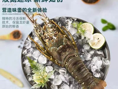 厂家直供小青龙虾鲜活速冻大龙虾大青龙花龙东山岛大海虾厂家直供图2