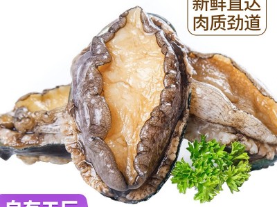 厂家直供小青龙虾鲜活速冻大龙虾大青龙花龙东山岛大海虾厂家直供图5