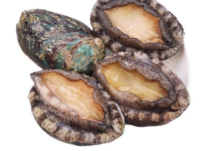 鲍鱼新鲜冷冻新鲜海鲜带壳加热即食鲍鱼捞饭汁饭火锅食材商用批发图4