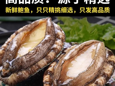 鲍鱼新鲜冷冻新鲜海鲜带壳加热即食鲍鱼捞饭汁饭火锅食材商用批发图2