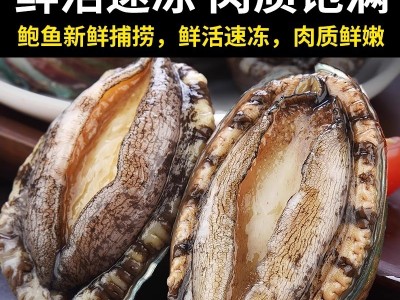 鲍鱼新鲜冷冻新鲜海鲜带壳加热即食鲍鱼捞饭汁饭火锅食材商用批发图5