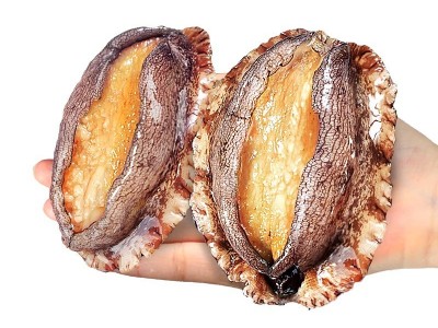 鲍鱼肉去壳去内脏冷冻鲜活大鲍鱼新鲜佛跳墙食材海鲜烧烤煲汤商用图5