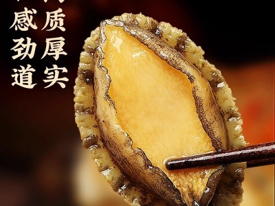 鲍鱼肉去壳去内脏冷冻鲜活大鲍鱼新鲜佛跳墙食材海鲜烧烤煲汤商用图3