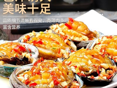 鲍鱼肉去壳去内脏冷冻鲜活大鲍鱼新鲜佛跳墙食材海鲜烧烤煲汤商用图4