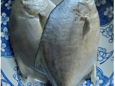 100-150g南美鲳平鲳肉鲳南鲳黑鲳鱼仓鱼昌鱼烧烤快餐油炸鱼10kg件图5