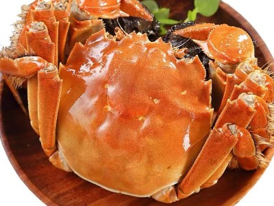 【活蟹现货】苏州精品批发团购大闸蟹鲜活螃蟹礼盒中秋礼专享优惠图5