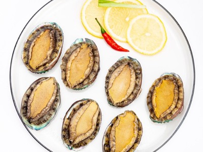 新鲜鲜活鲍鱼海鲜特大鲍鱼批发佛跳墙材料非鲍鱼干冷冻批发鲍鱼图5